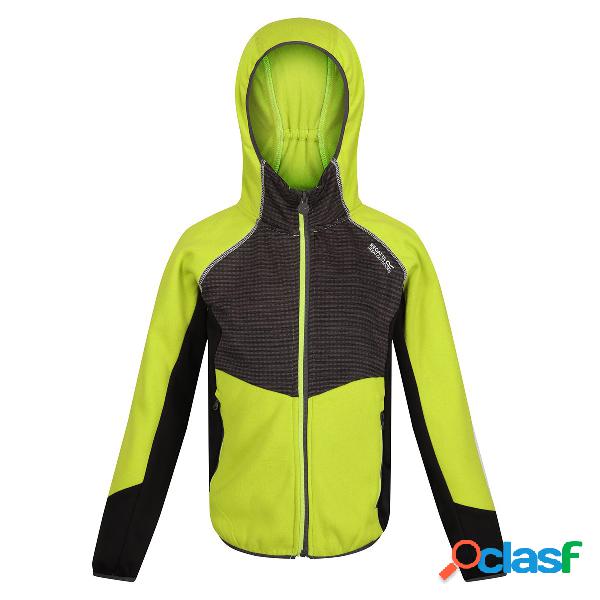 Softshell Regatta Prenton (Colore: brikiwi-dkgr, Taglia: