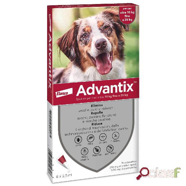Advantix Spot on per cani oltre 10 kg fino a 25 kg 6 Pipette