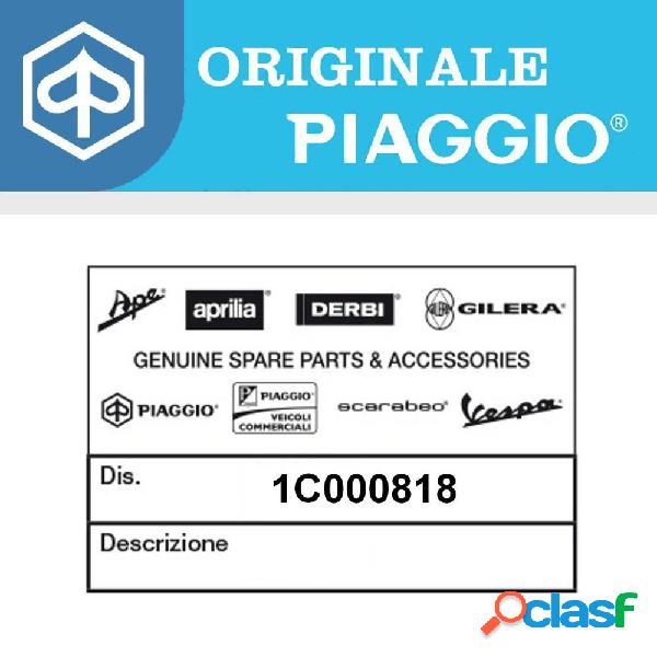 Coppia pasticche freno piaggio 1c000818