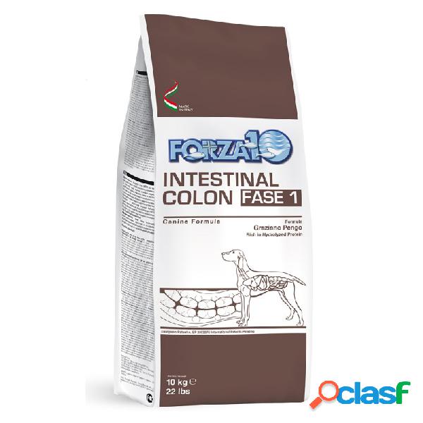 Forza10 - Forza10 Intestinal Colon Fase 1 Per Cani
