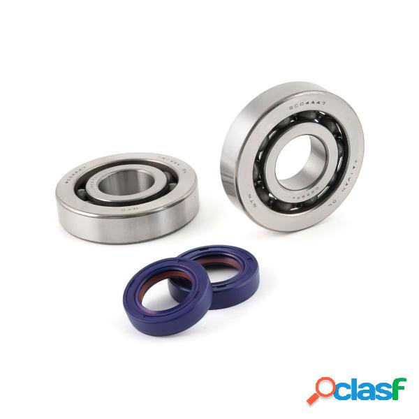 Kit revisione albero motore piaggio