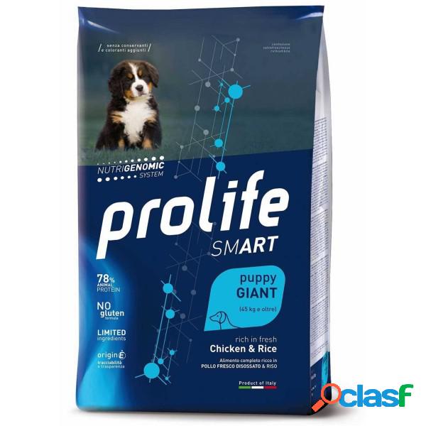 Prolife Smart Puppy Giant Pollo e Riso 10 kg (GRATIS
