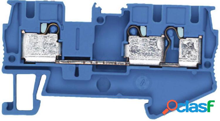 Siemens 8WH60030AG01 Morsetto passante Innesto rapido Blu 50