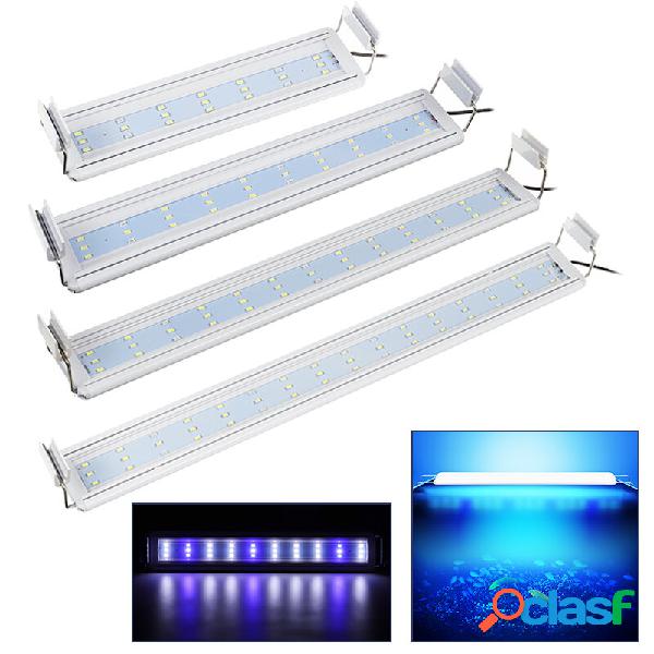 Acquario Fish Tank EU Plug luce a led Over-Head Blu + Bianco