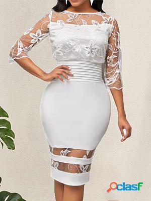 Elegant Lace-paneled Waist Bodycon Dresses