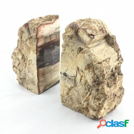 Fetta fermalibri in legno fossile silicizzato qualità extra