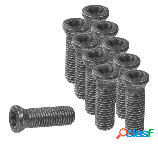 GARANT - Set di viti degli inserti 10 pezzi