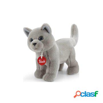 Gatto celestino