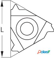 HOLEX - Inserto a profilo completo a 55° interno destro