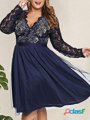 Lace Paneled Mesh Skater Dresses