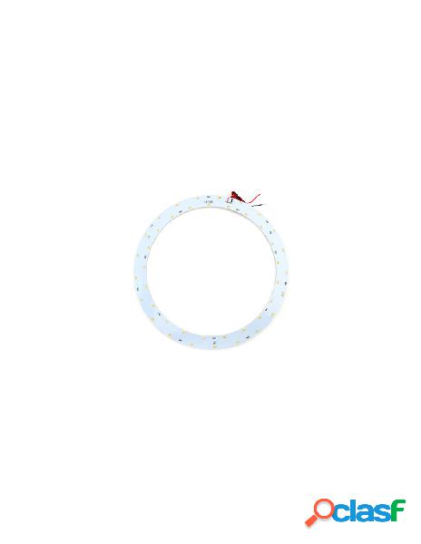Ledlux - led plate anello circolare dc 12v 21w bianco freddo