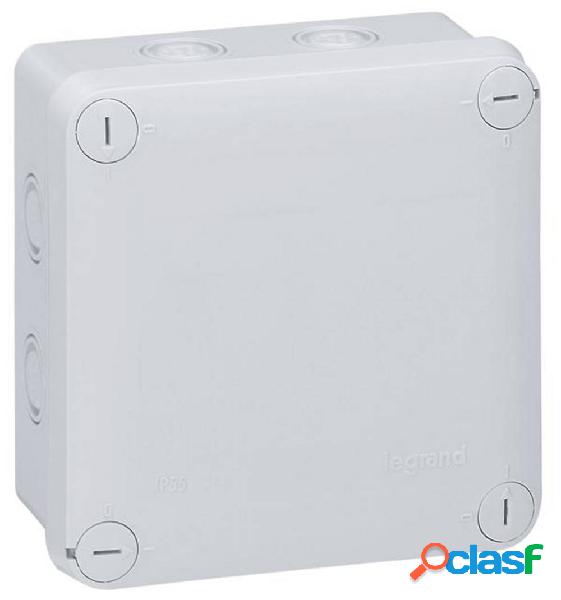 Legrand 092024 Scatola di derivazione (L x L) 105 mm x 105
