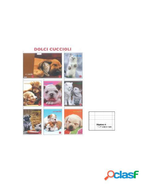 Maxi dolci cuccioli 42ff/sh