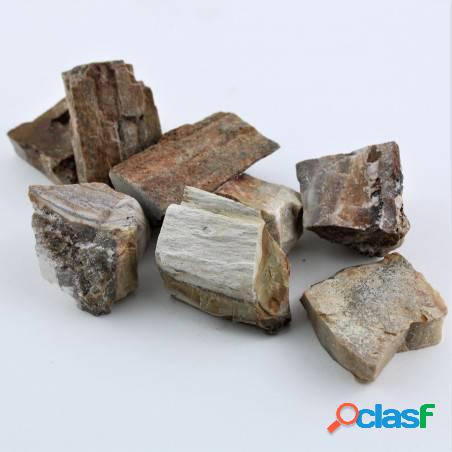 Minerali * grande legno fossile collezionismo
