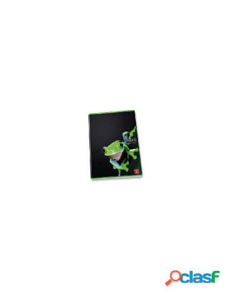 Pigna - maxi quaderno 100g green shiver rigatura 1r 5 pezzi