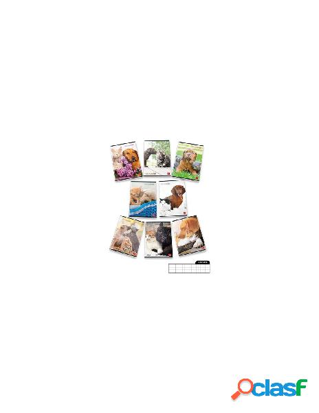 Pigna - quaderno pigna 0232047 dolci cuccioli assortito