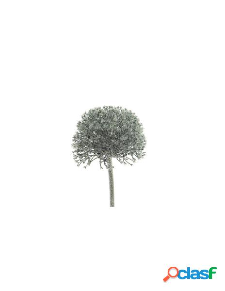 Plc allium w glitter 706322