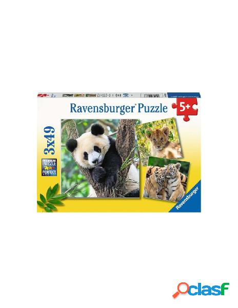 Puzzle 3x49 pz panda, tigre e leone