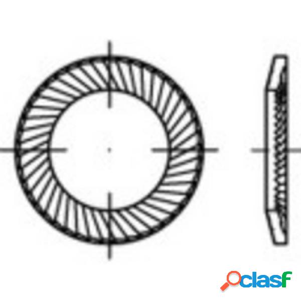 Rondelle dentellate 2.5 mm 4.8 mm Acciaio armonico zincato