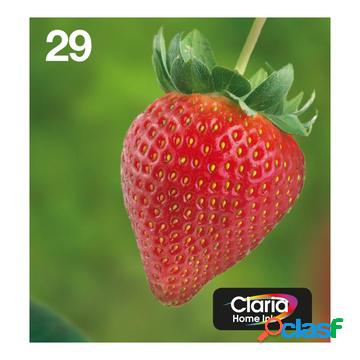 Strawberry multipack fragole 4 colori inchiostri claria home