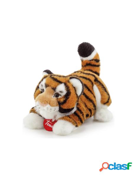 Tigre bruce s