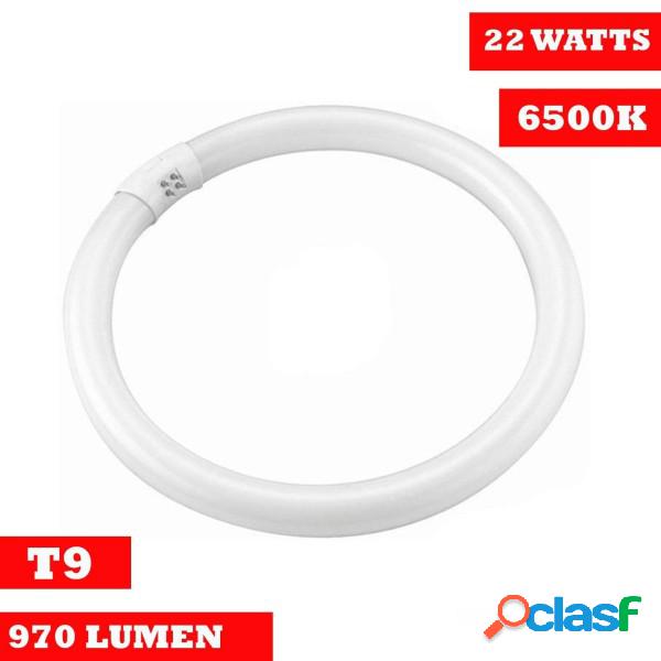 Trade Shop - Lampada Luce Neon Circolare Fredda T9 Risparmio
