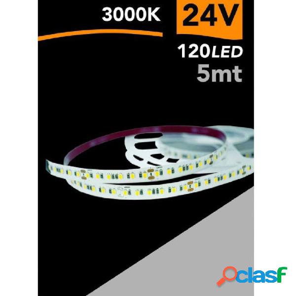 Trade Shop - Striscia Led 2835 Strip 5 Mt 24v 120 Led Smd