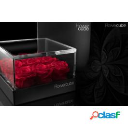 Ars Nova Srl Flowercube Platinum 9 Rose 180 X 180 X h