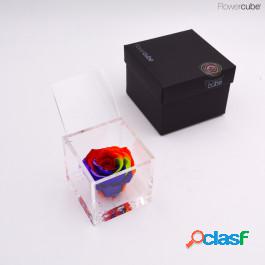 Ars Nova Srl Flowercube Rosa 8x8 Rainbow