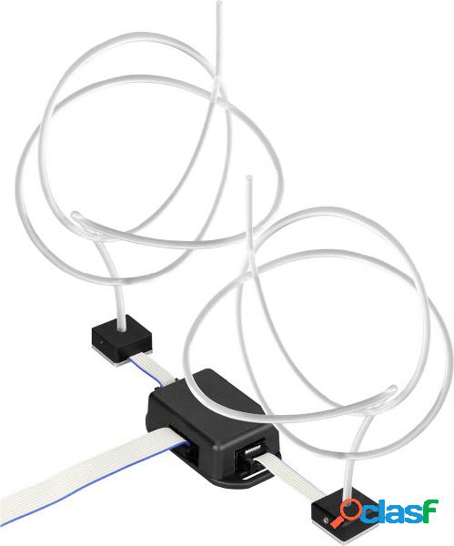 Barthelme Lichtleiter-Set Maxi RGB Filo luminoso 5 V RGB 1 m