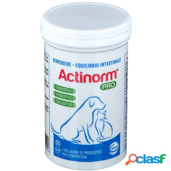 Ceva Actinorm Pro Cani e Gatti 60 compresse