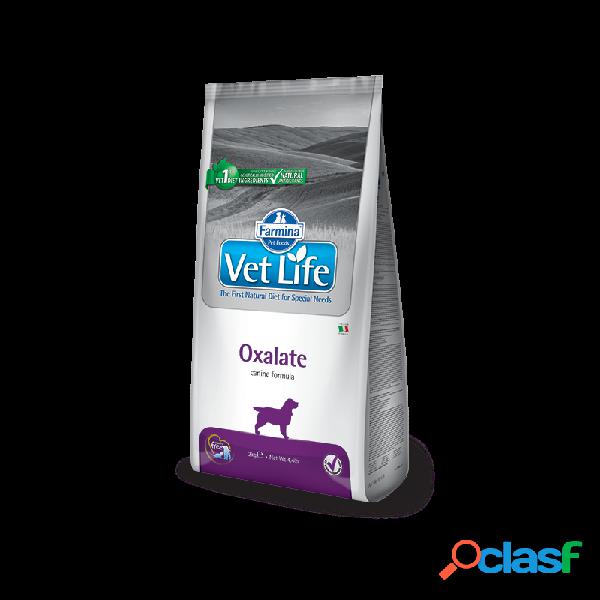 Farmina Vet Life - Farmina Vet Life Oxalate Per Cani