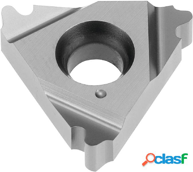 GARANT - Inserto a profilo completo a 30° interno sinistro