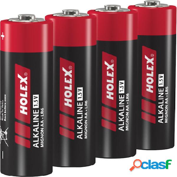 HOLEX - Batterie alcaline al manganese
