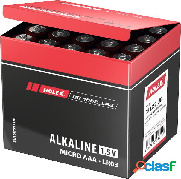 HOLEX - Batterie alcaline al manganese