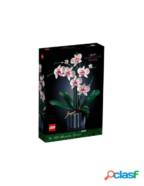 Orchidea