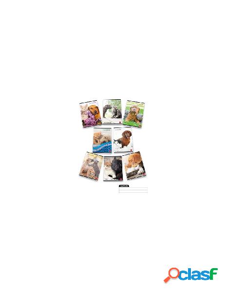 Pigna - quaderno righe pigna 0232047 dolci cuccioli