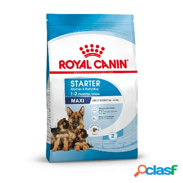 Royal Canin Maxi Starter Mother&Babydog 4 Kg