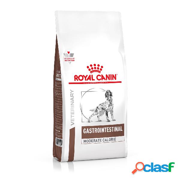 Royal Canine Veterinary Diet Dog Adult Gastrointestinal