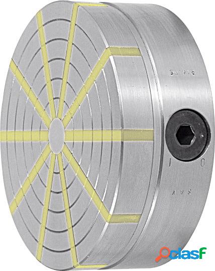 SAV - Piano magnetico con rastremazione radiale dei poli