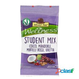 Student mix - 25 gr - Mister Nut (unit vendita 24 pz.)