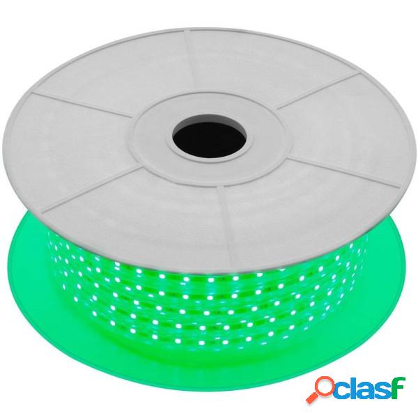 Trade Shop - Striscia Led Luminosa Flessibile 100 Mt Luce