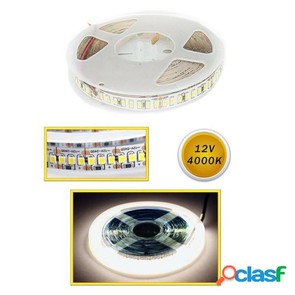 Trade Shop - Striscia Led Smd 2835 Strip 5 Mt Bobina Luce