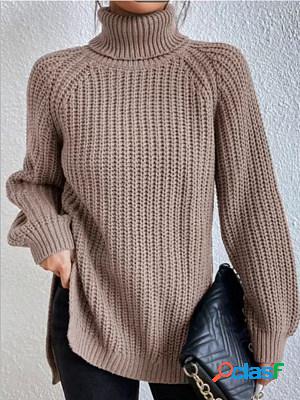 Women Casual Solid Turtle Neck Sweater