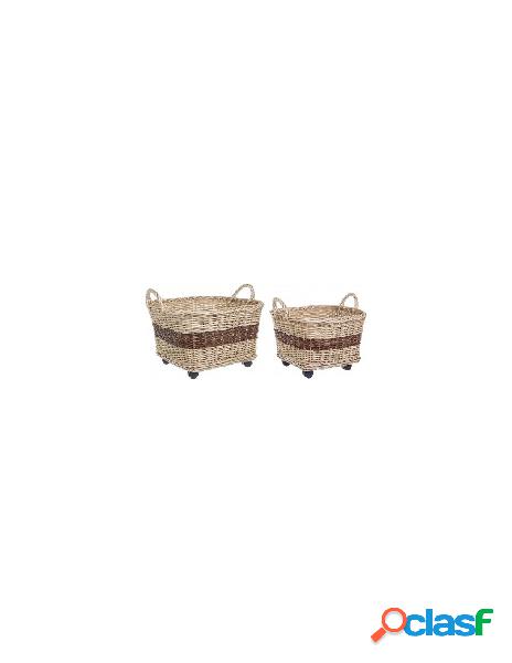 Yes everyday - set ceste yes everyday 0415398 kelly con
