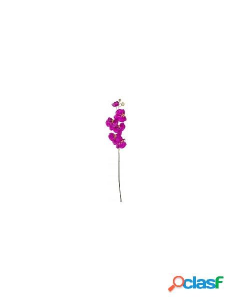Yes everyday - stelo yes everyday 0171555 orchidea viola
