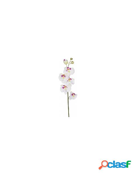 Yes everyday - stelo yes everyday 0171556 orchidea bianco