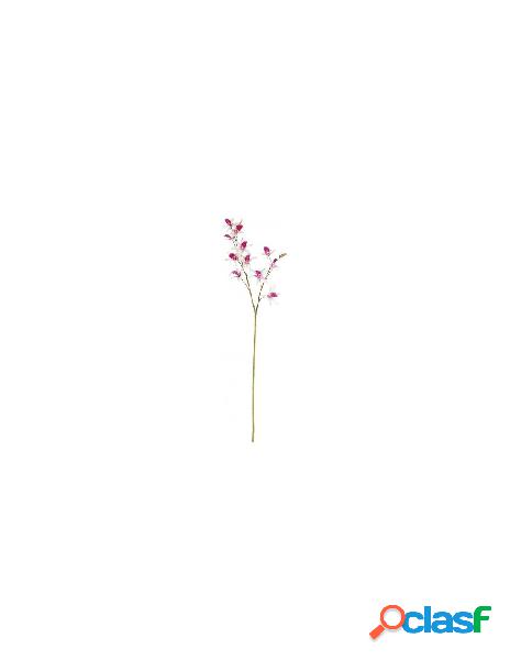 Yes everyday - stelo yes everyday 0172625 orchidea