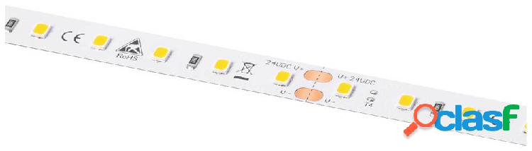 Barthelme LEDlight flex 16 10 LITE RGB, Rolle 500 cm