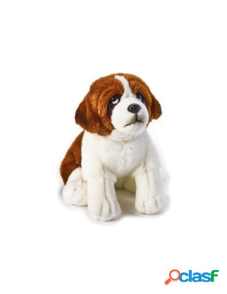 Berny s. bernardo my puppy